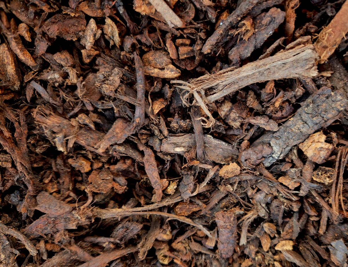 Close-up of bark mulch wood chips