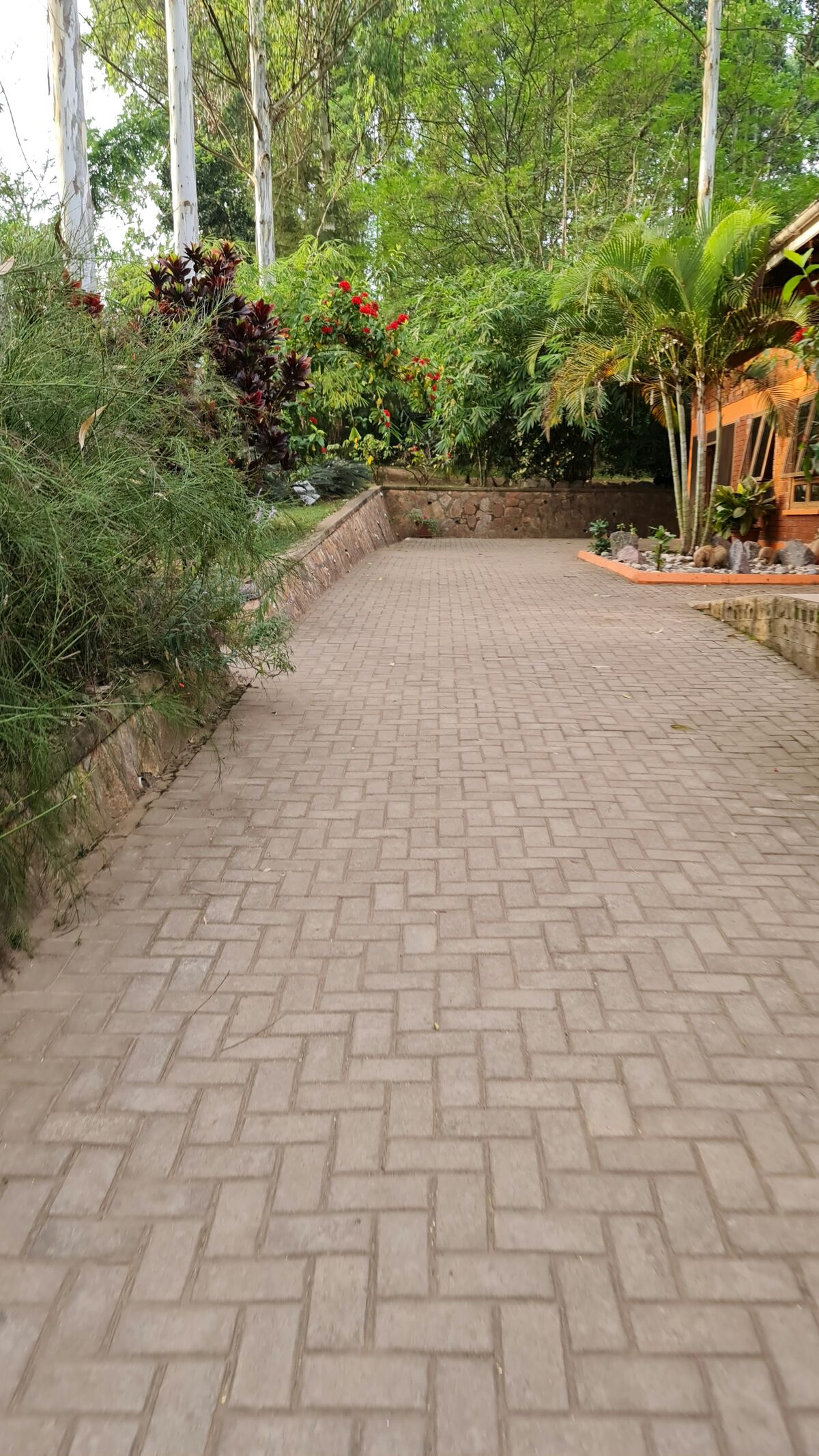 Installed patio pavers and stone surface