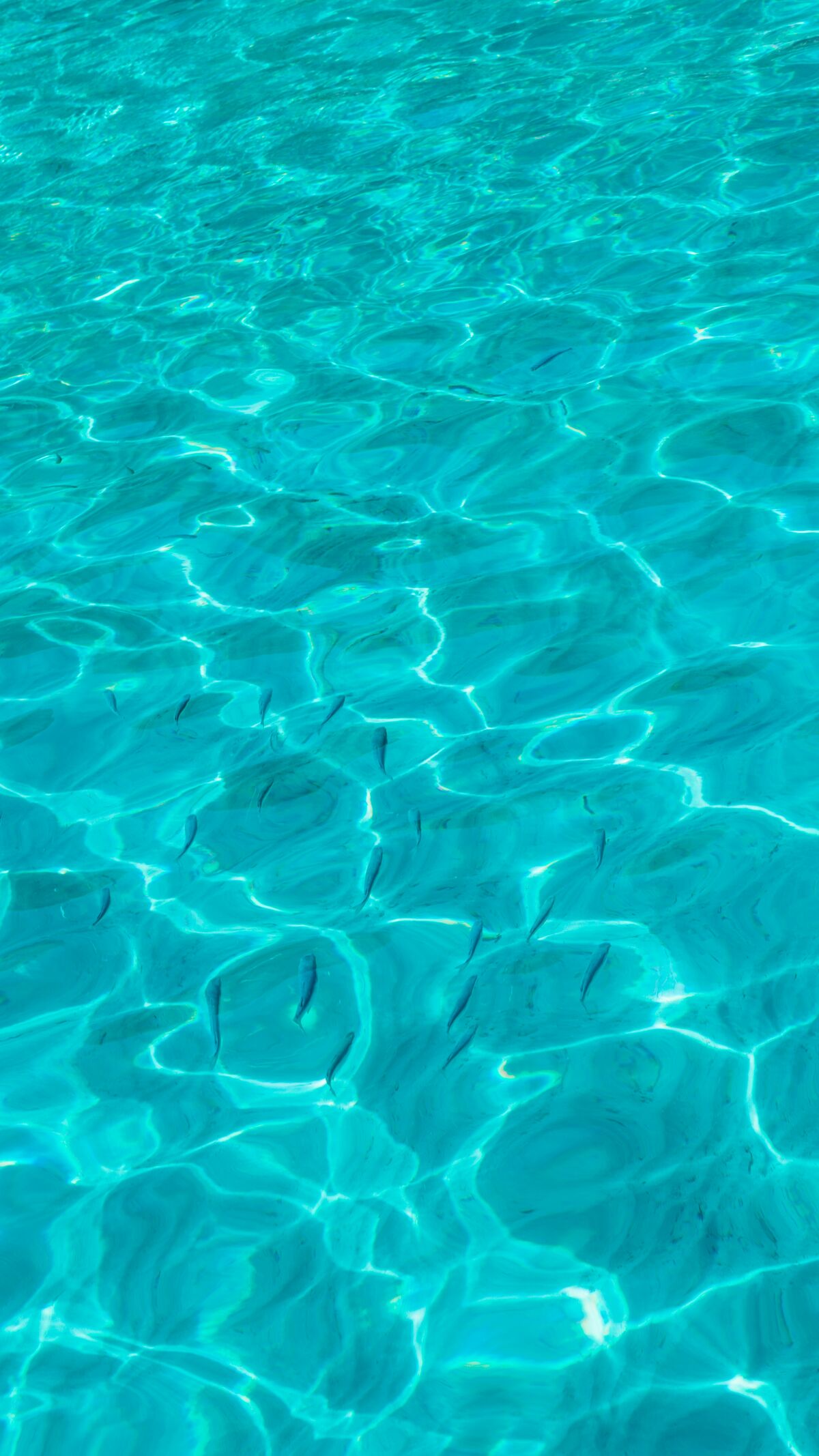 Clear blue swimming pool water